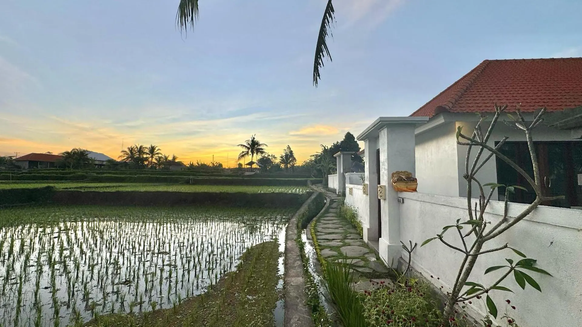 Villa Dream Cozy 2Bedroom Ricefields Ubud